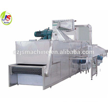 DWT Series conveyor Cashew Nut machine